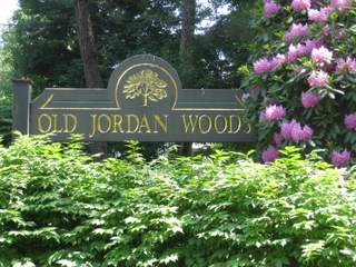 Old Jordan Woods