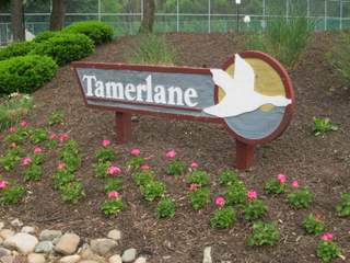 Tamerlane